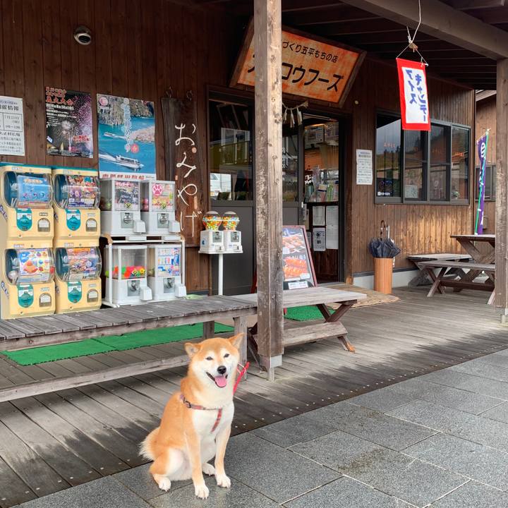 14273c2a 2329 4b3d be4f 6b808cd361c7 1563437405106