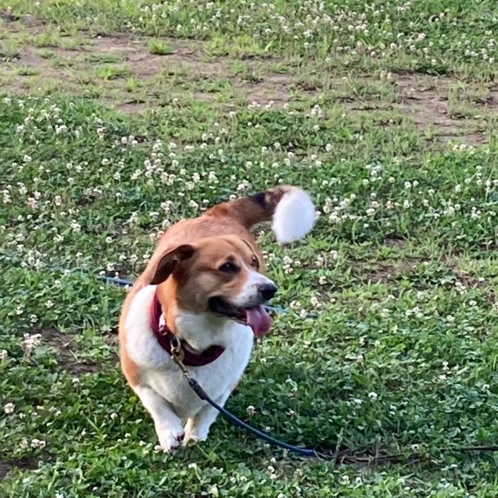 142742ff 393e 470b ab07 2654d61b8c56 1688481967054