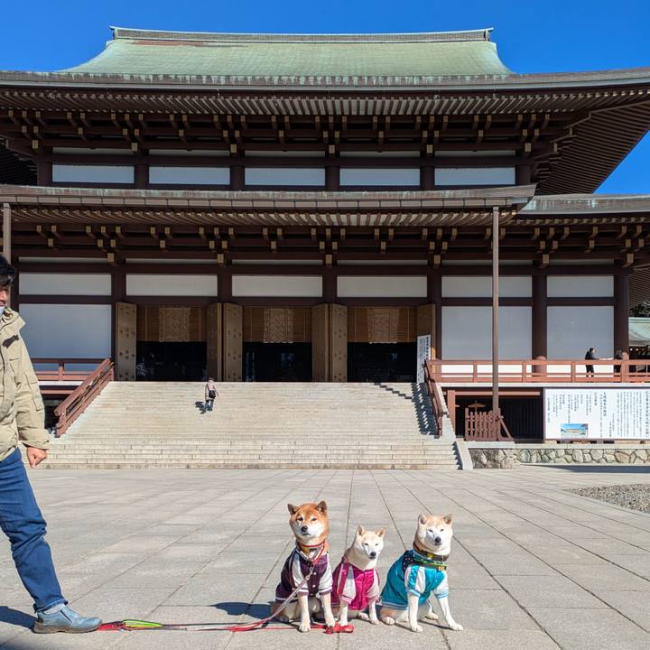 1427989c 4274 477e b328 338d2e583455 1740324902422