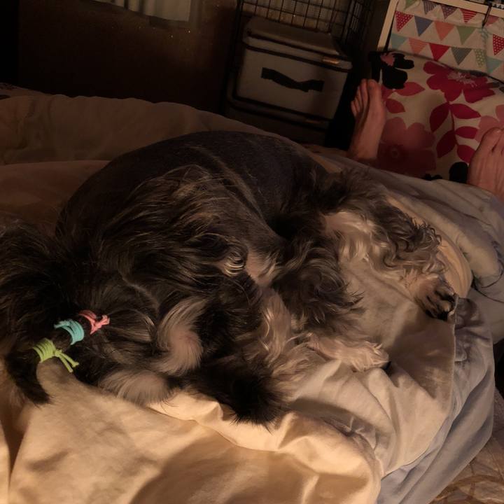 1427a627 b797 4a6d 8a20 d2b988ff237d 1538920426123