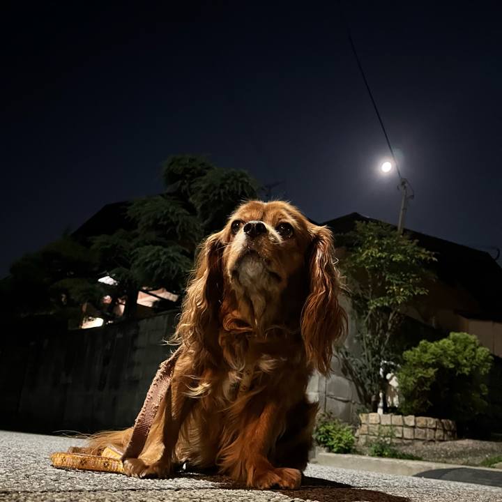 1427e324 b196 4990 83a9 aa4a45ef6a3f 1695987418541