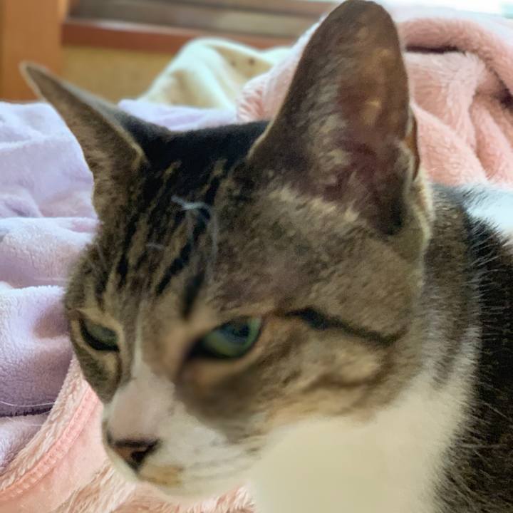 1427e328 59d0 4360 89f4 482bab02cb7d 1544056925926