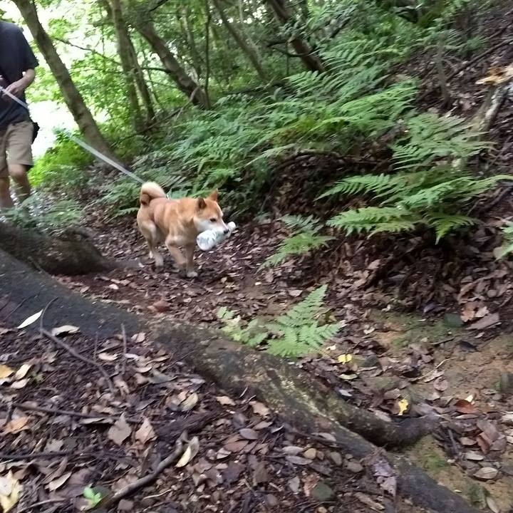 14282767 6f17 4653 8eeb 28b2a5ad35b4 1528537198286