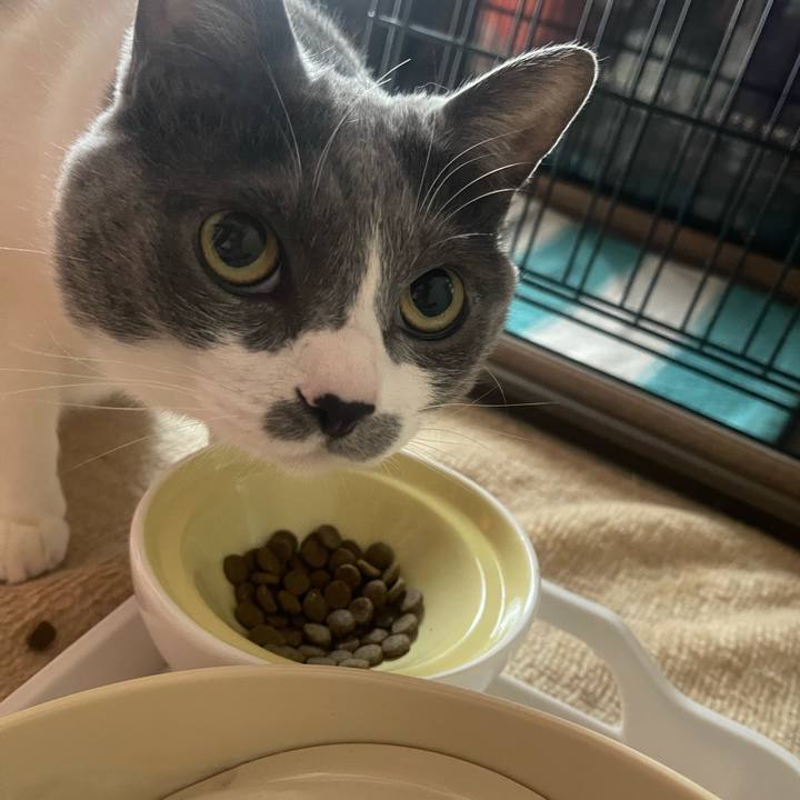 1428296f cf94 4cdb ba2a 77c224840a16 1745271378930