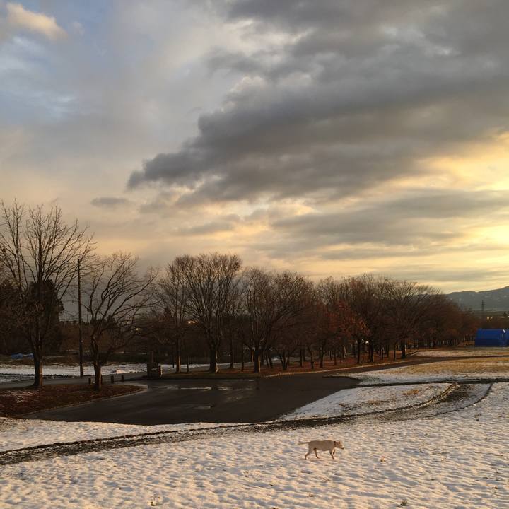 14289e93 2741 4b66 b883 1c1c830c6ef6 1579178007110