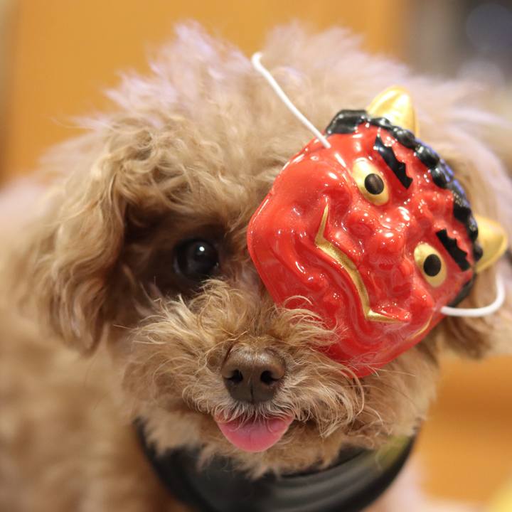 1428a55b e8ab 40e1 8b71 d1f79b2f223d 1549194073720