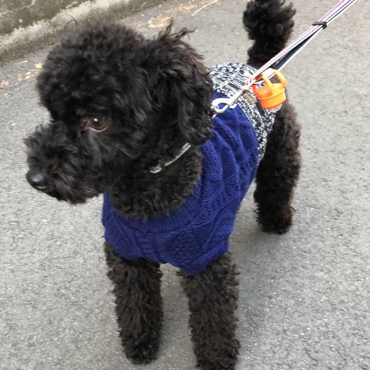 1428b45a 075e 452c ba4e f4ceec2c2379 1541197966207