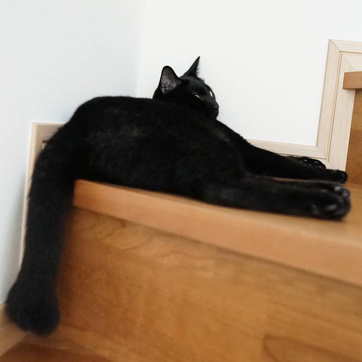 1428df0f 0a97 4426 adb7 3a2b8eb154aa 1564442698310