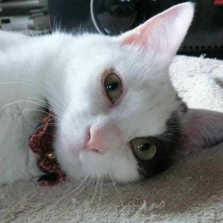 1428ed7f 2b07 4c00 b6b3 d87f4177d644 1571991716791