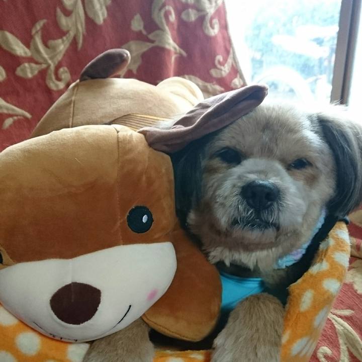 14290b8c 31ce 433c b686 d518b5f55da6 1518738644670