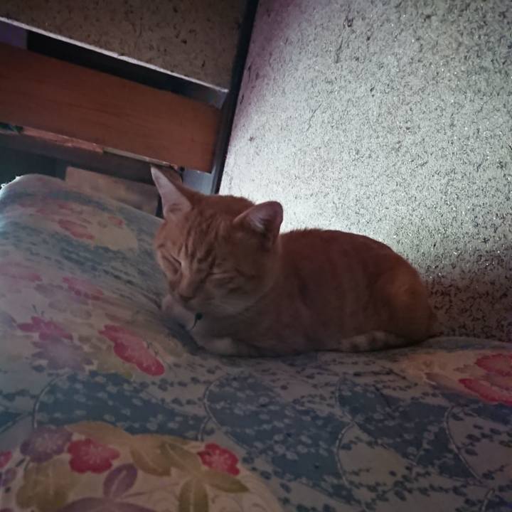 14291087 2a92 451a a6c6 e039fb97c99a 1599879272453