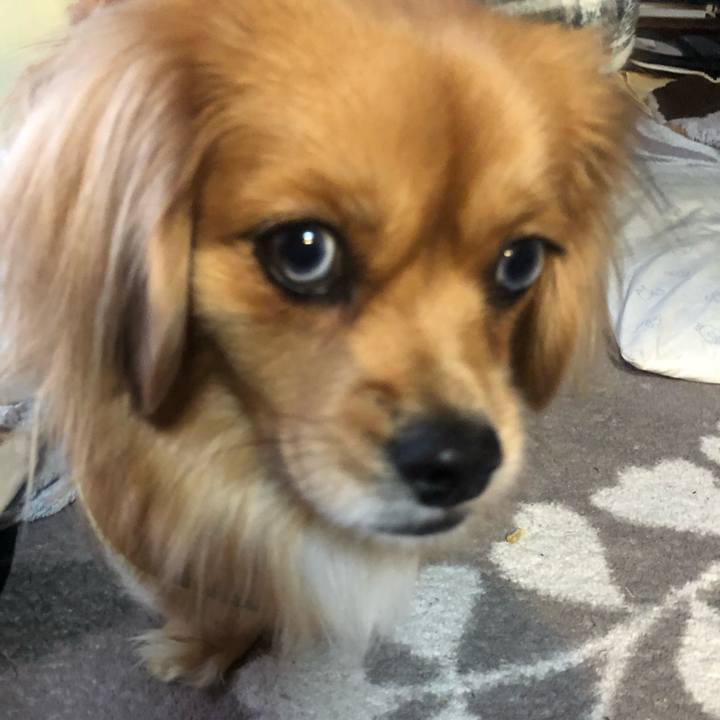 14292375 62fa 4bcf b066 277c95214a5d 1545949244322