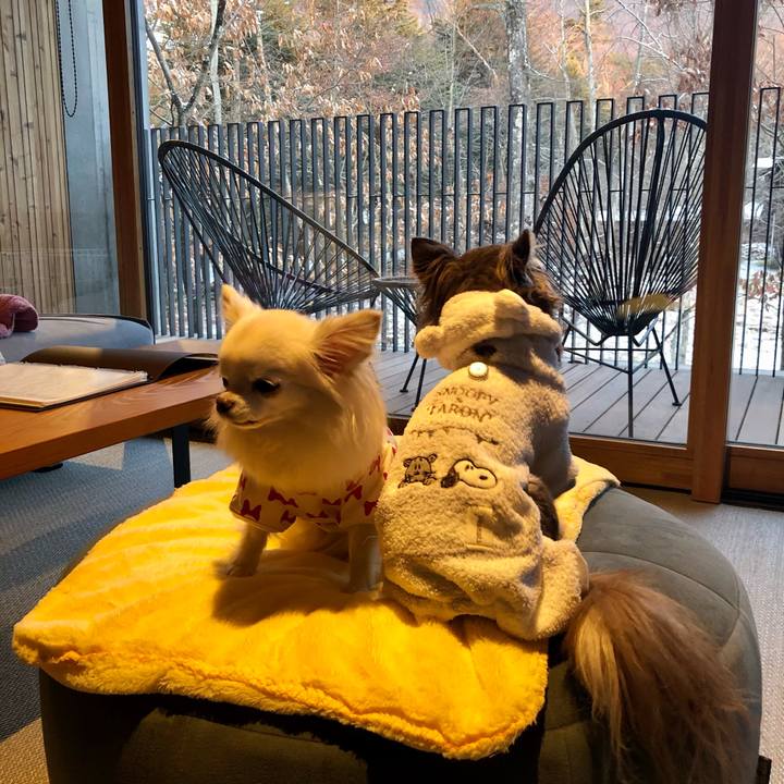 14292678 41f2 4b02 b262 8bacaaac45a8 1607120150785