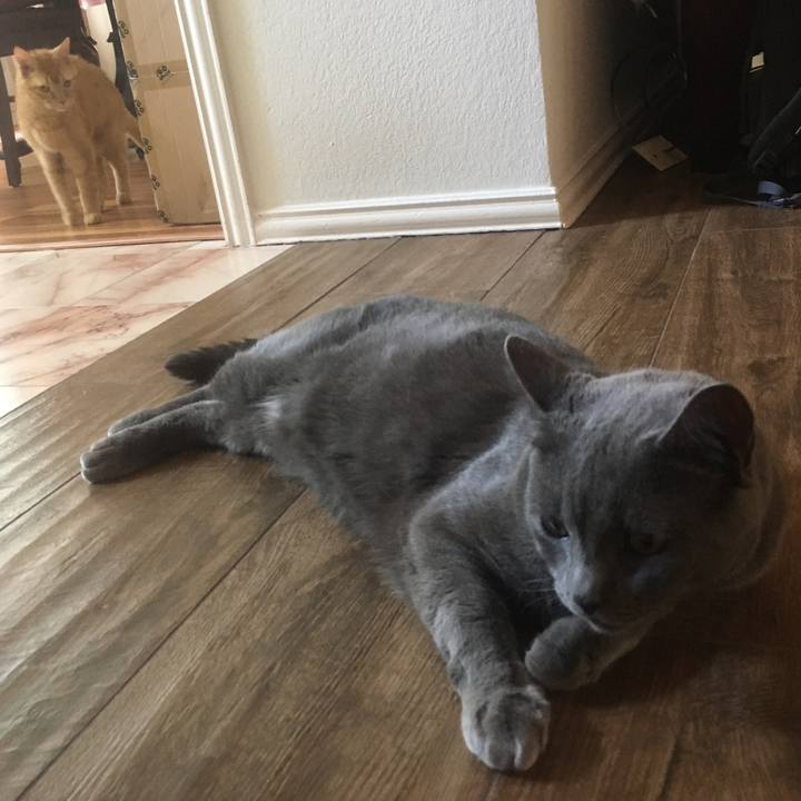 14292a10 18e2 4d49 bdb1 682109aa73c5 1662317697693