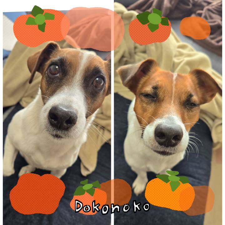 14292a69 8384 40a3 a41c f27f14e4f1ba 1761938827551