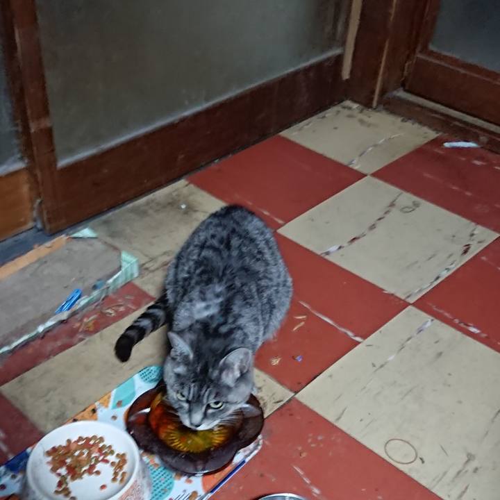 14295808 3e08 4a73 92a8 2f6bc63cf30c 1575493572656