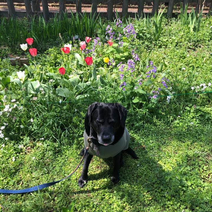 14298a7c 3ba4 4a6e 9280 e19af89daf07 1585878146189