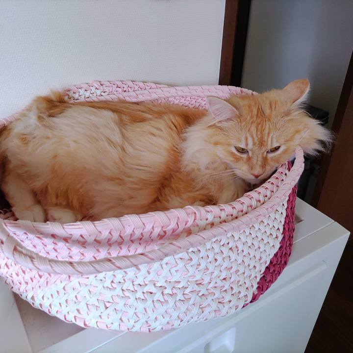 1429979e 6b82 4009 9c40 ef00ccbc587b 1720407969341