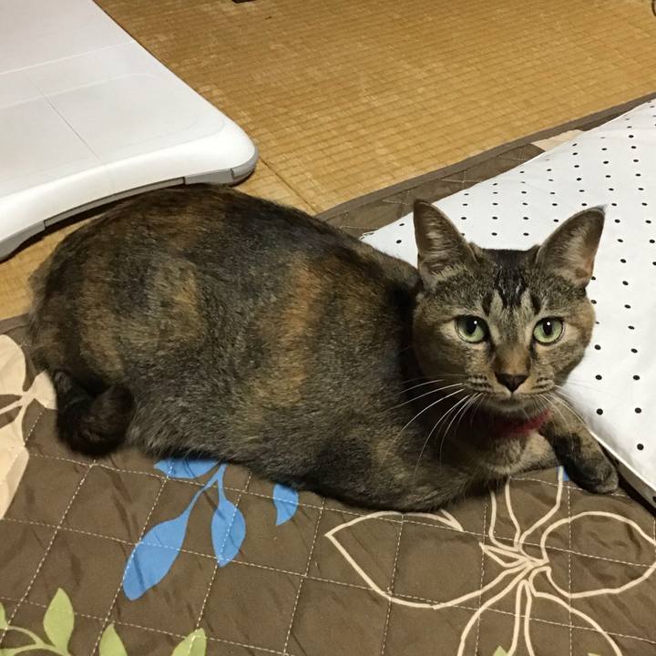 142a0c01 1f9f 464e 819a 2779d6badaf1 1601111140633