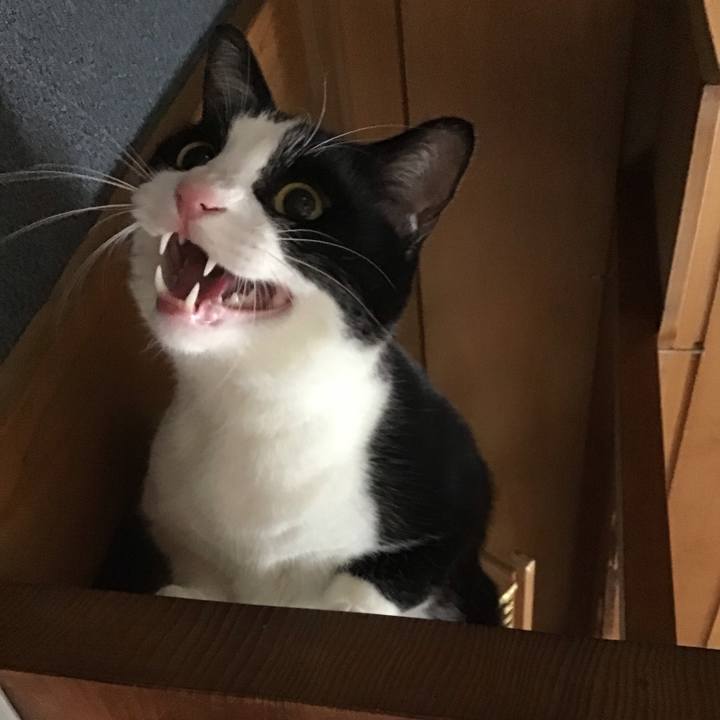 142a0cbd 0db5 47e8 9a95 d0799d533224 1735289435252