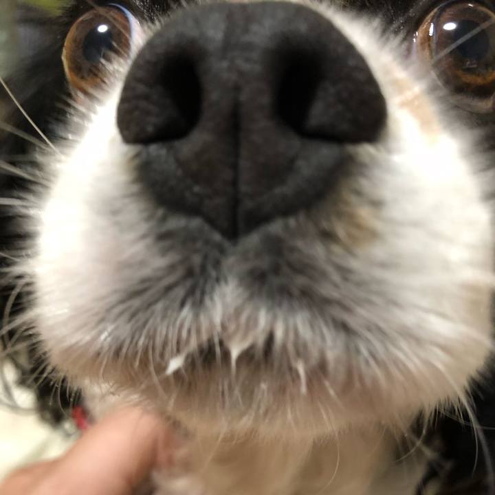 142a147e 1bf7 4e39 9199 a03b7e693efe 1565878474313