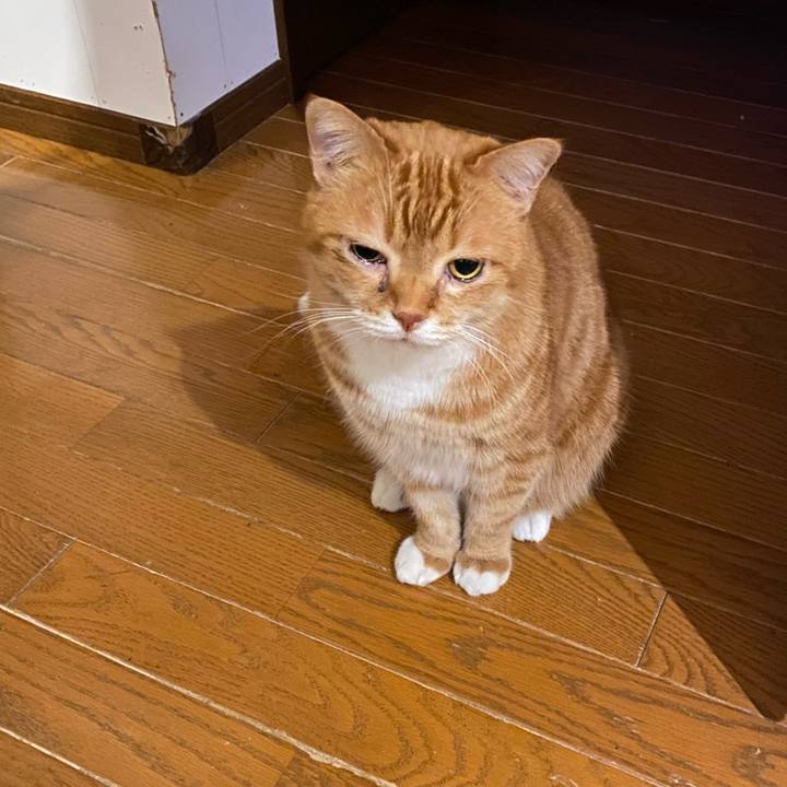 142a3de8 bbbd 4f6d b4d8 1f59625457d8 1644583704348