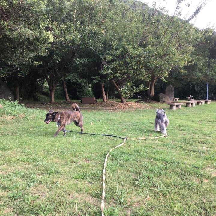 142a3fbd 2ee9 49bb b014 e0ac9bf4625b 1533093710034