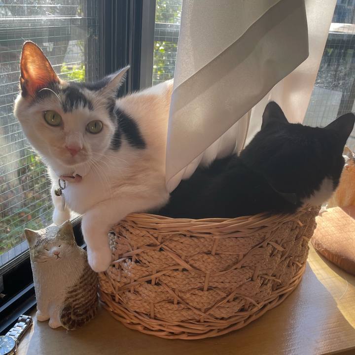 142a73f9 32bb 45b9 b1fb 54963798678f 1733704290733