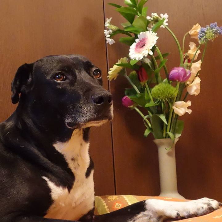 142a94db 6f57 4a43 81b4 d552762a4181 1644489786744