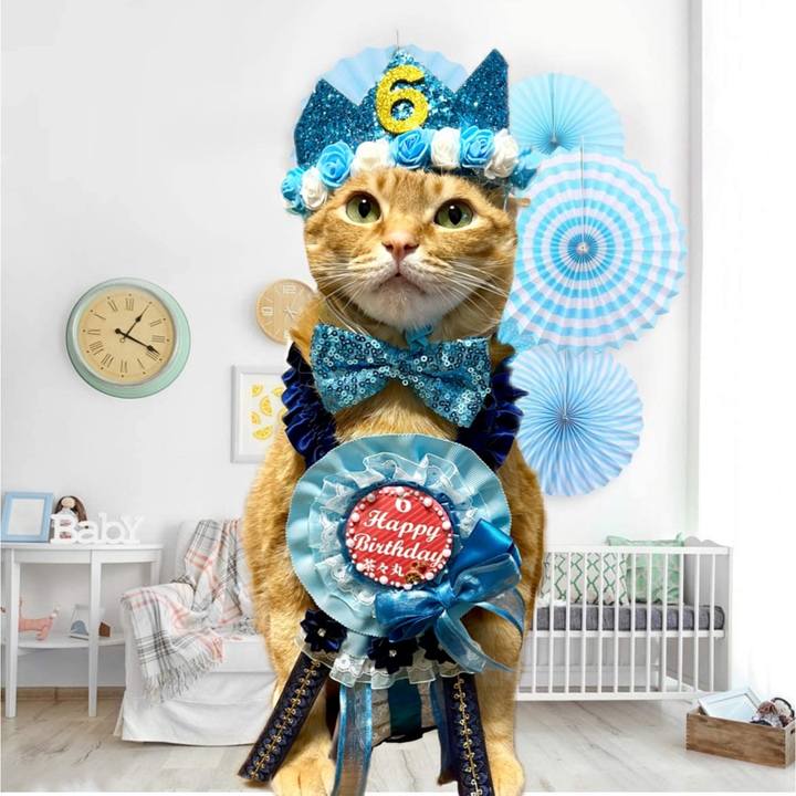 142aa1f8 26d9 43f0 ae5d 5fd73a2bafd2 1654028775693