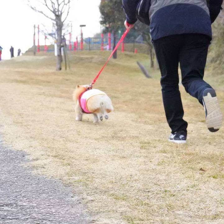 142ad87e 9aa5 4ae9 b3b7 1afa83926630 1551525743404