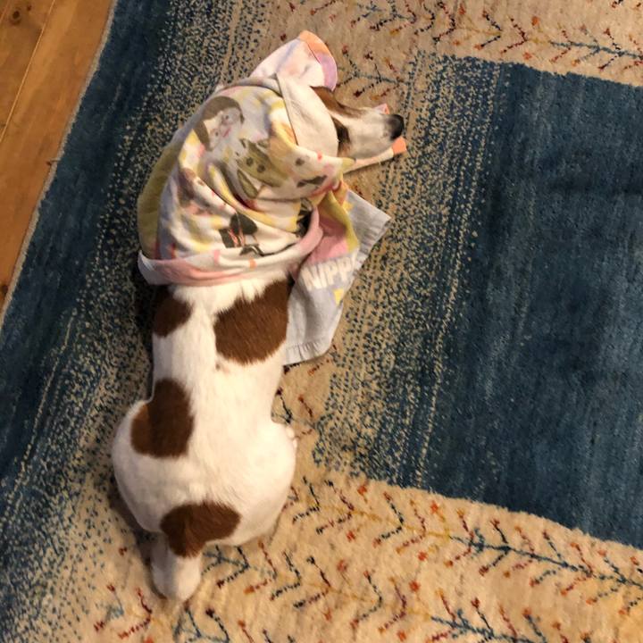 142af828 dcb6 46c7 ba39 92991c73c247 1580198386610