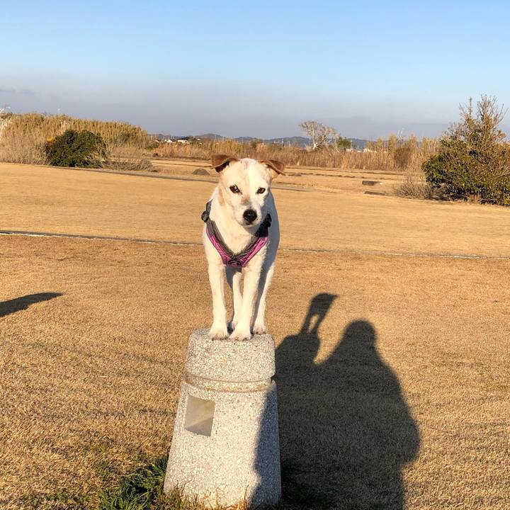 142b00b5 bed8 4564 9e6e 2f20473c2e6f 1552547718756