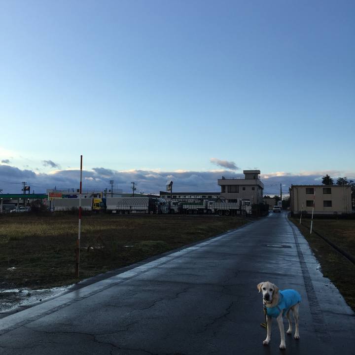 142b0376 ebf3 4d99 9599 1828891a8569 1545173184999