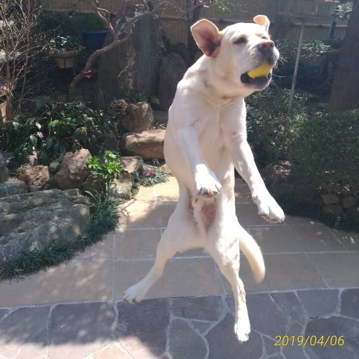 142b0a5d 8de2 43f8 9a92 7e59dc28bb0c 1554521217131