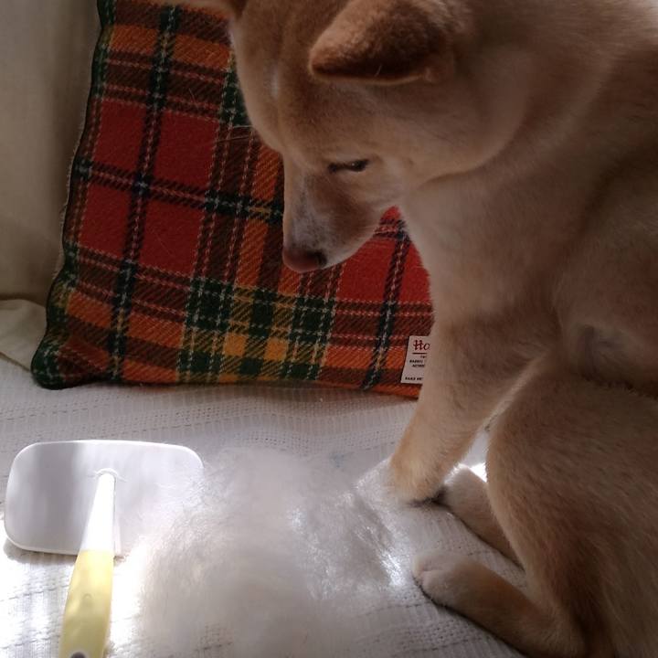 142b1142 b096 4a3b be9d bbcd1b5116af 1520906180444