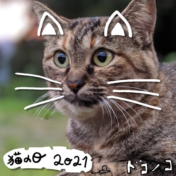 142b1aa5 0052 40d8 8a3a b03917ed9430 1613964498866