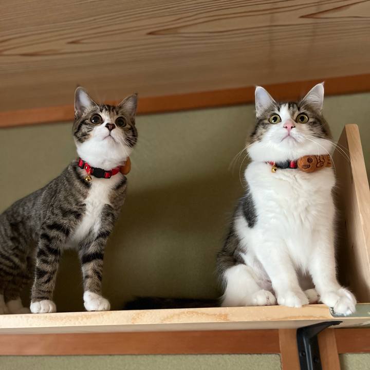 142b28fd aabe 49eb 8f83 d998623e7e34 1700621003381