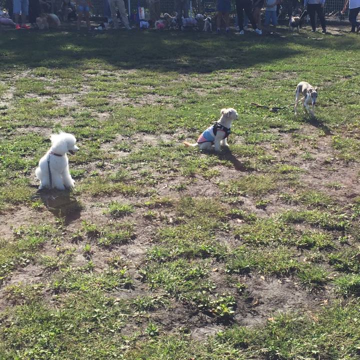 142b3895 5ea3 4acc 97c3 52cedc7b60bd 1538815948265