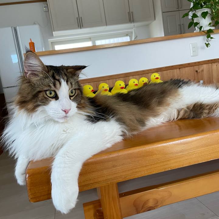 142b4849 76fd 4405 8f3e cc72107510a3 1656970003527