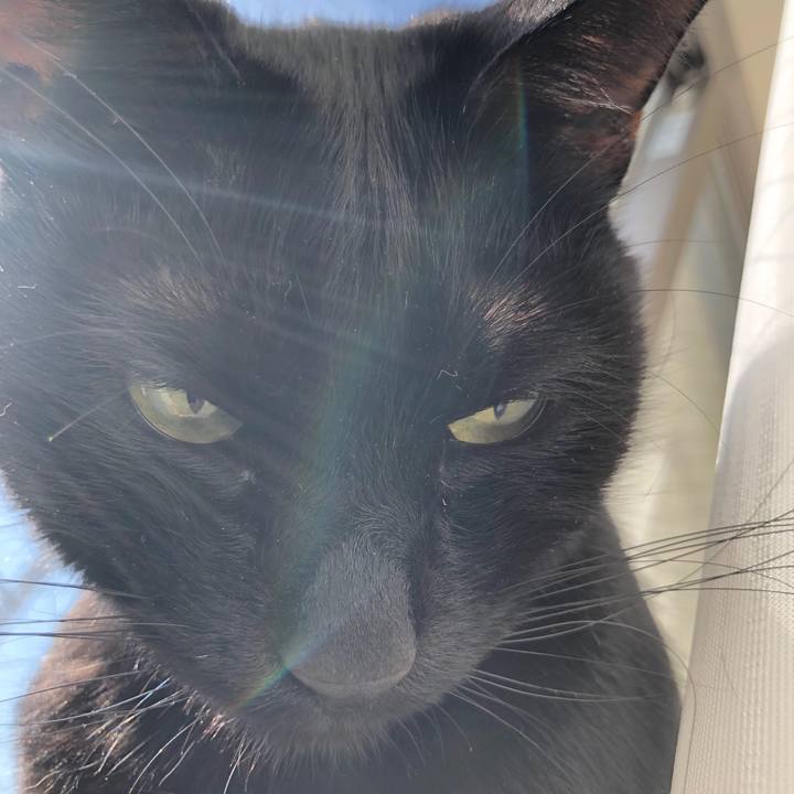 142b6b67 e501 4959 9020 96da856bb6fc 1582936432735