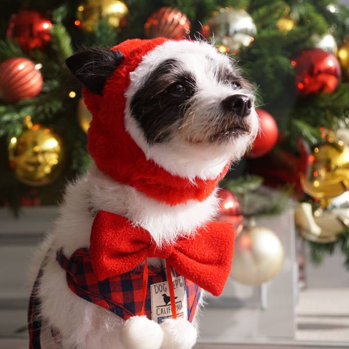 142b7d50 7179 48ca b73f 8d2d3338b72e 1640342801811