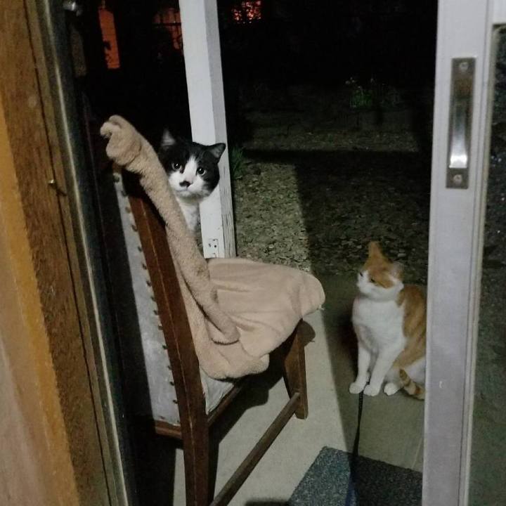 142b8418 1751 4dd3 b391 7b8a2b2c445d 1523193038164