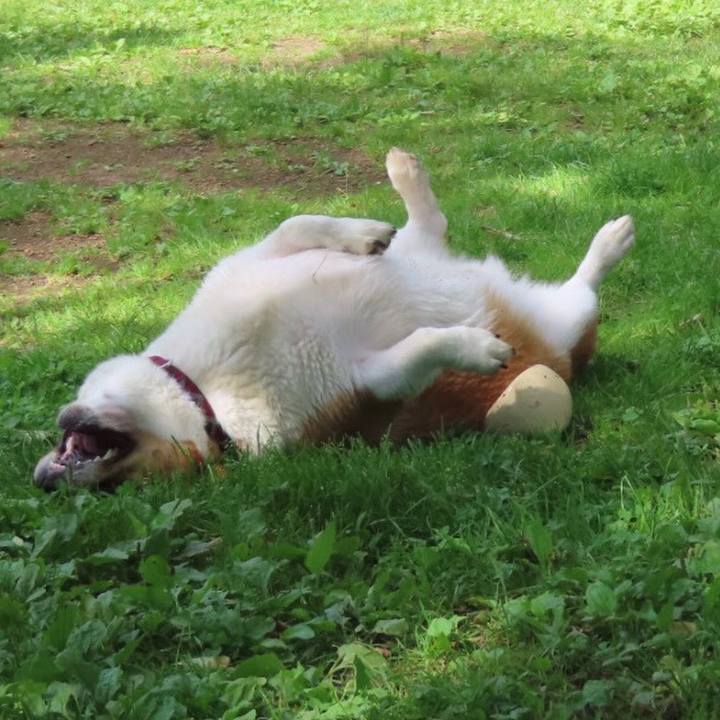 142beca6 d81b 4249 82a6 1829089fb68e 1656464096463