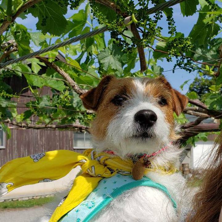 142c084f a0d3 41f2 8003 0daf07895b2b 1559369007198