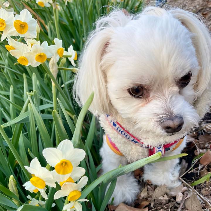 142c0dcb a64c 413b 93b3 d2a89d121ebc 1614090298482