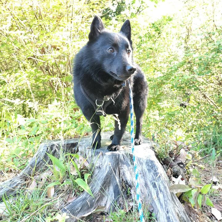 142c50ed d400 4694 995a 06a8c187435c 1714692326650