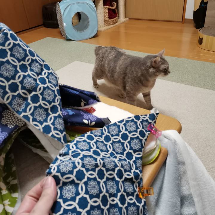 142c6026 83c6 40d9 a400 d17d16ae0691 1612191934132