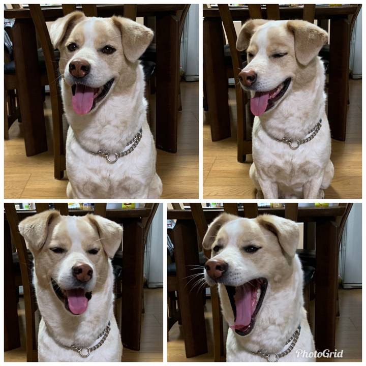 142c70f8 d0e2 43af 8d59 0931e261cdf4 1558100306643