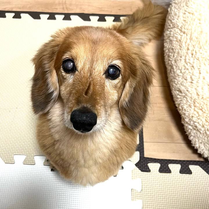 142c7c63 352c 4f9a 9582 22cc65040eb8 1641812654165